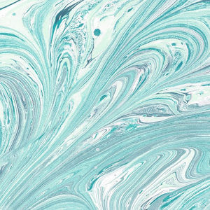 Meet your Posher, Presley